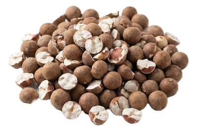 Euryale Seed, dried herb