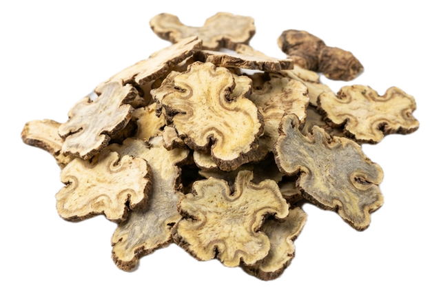 Ligusticum Rhizome (Chuan Xiong), dried herb