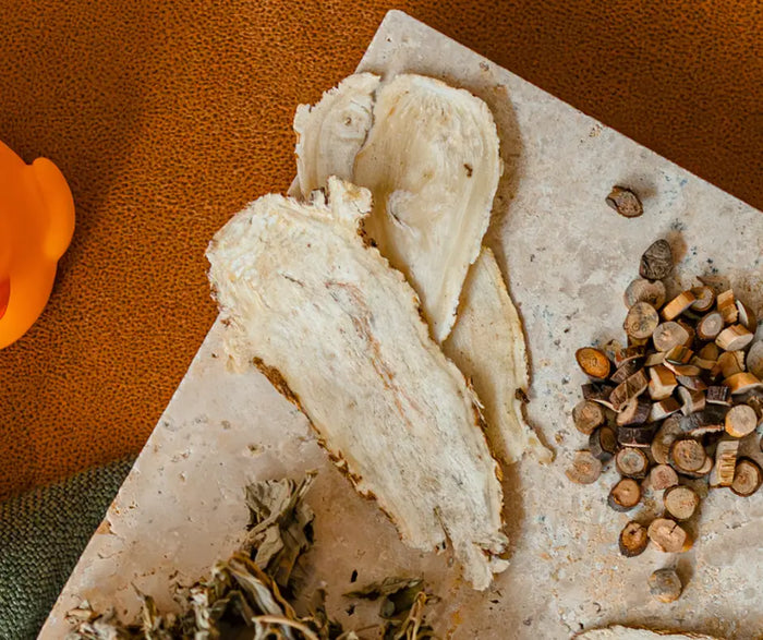 Sliced chinese angelica root on a stone board with herbs and spices