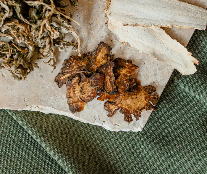 Dried mushrooms on a stone surface with a green fabric background