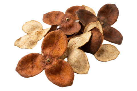 Aged Mandarin Peel (Chen Pi), dried herb
