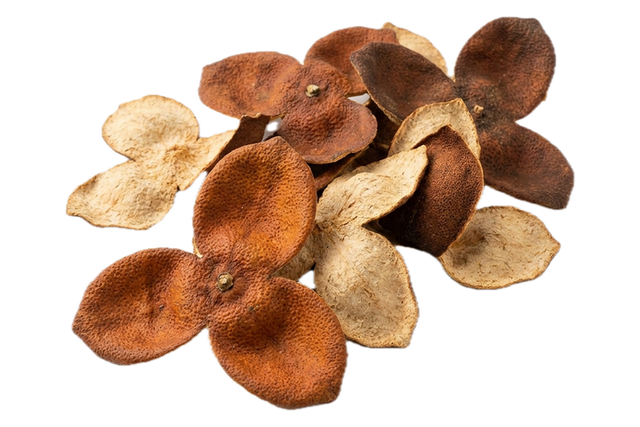 Aged Mandarin Peel (Chen Pi), dried herb