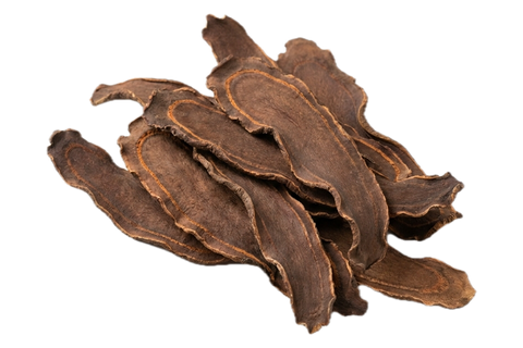Chain Fern Rhizome (Gou Ji), dried herb
