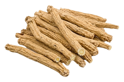Codonopsis Root, dried herb