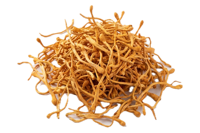 Cordyceps Flower, dried herb