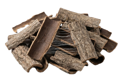 Eucommia Bark, dried herb