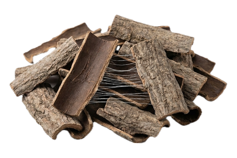 Eucommia Bark (Du Zhong), dried herb