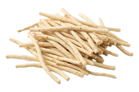 Glehnia Root (Bei Sha Shen), dried herb