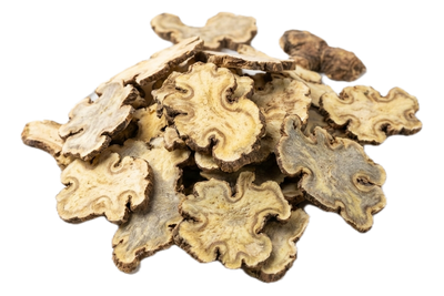 Ligusticum Rhizome, dried herb
